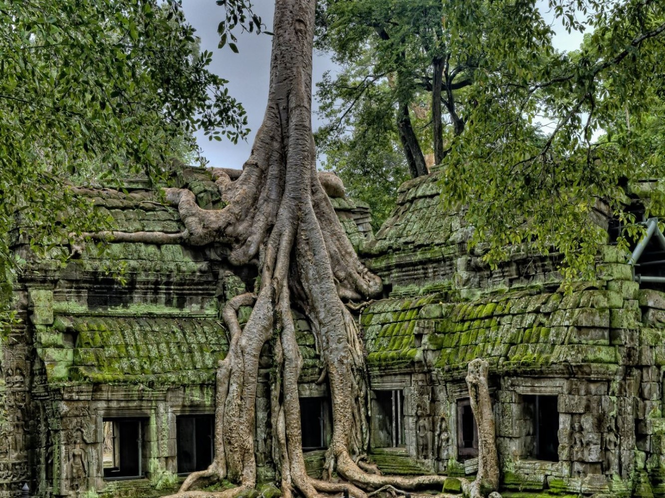 Siem reap day trip