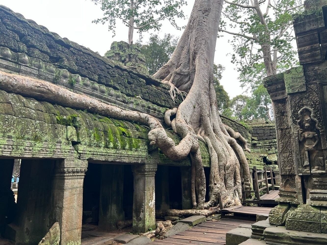 Siem reap day trip